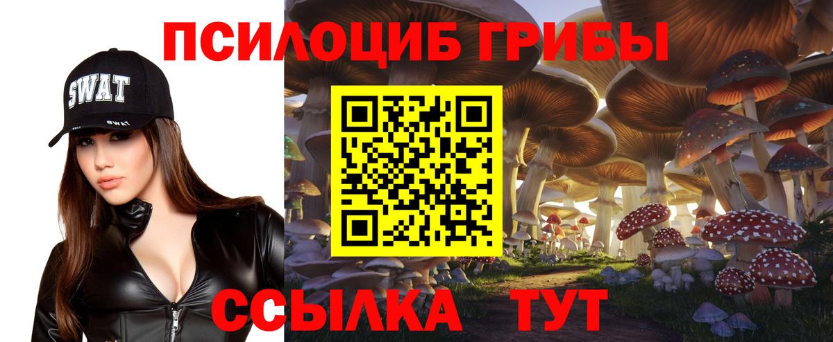 где купить   Галлюциногенные грибы Magic Shrooms  Вход с VPN  Химки  Галлюциногенные грибы прущие грибы 